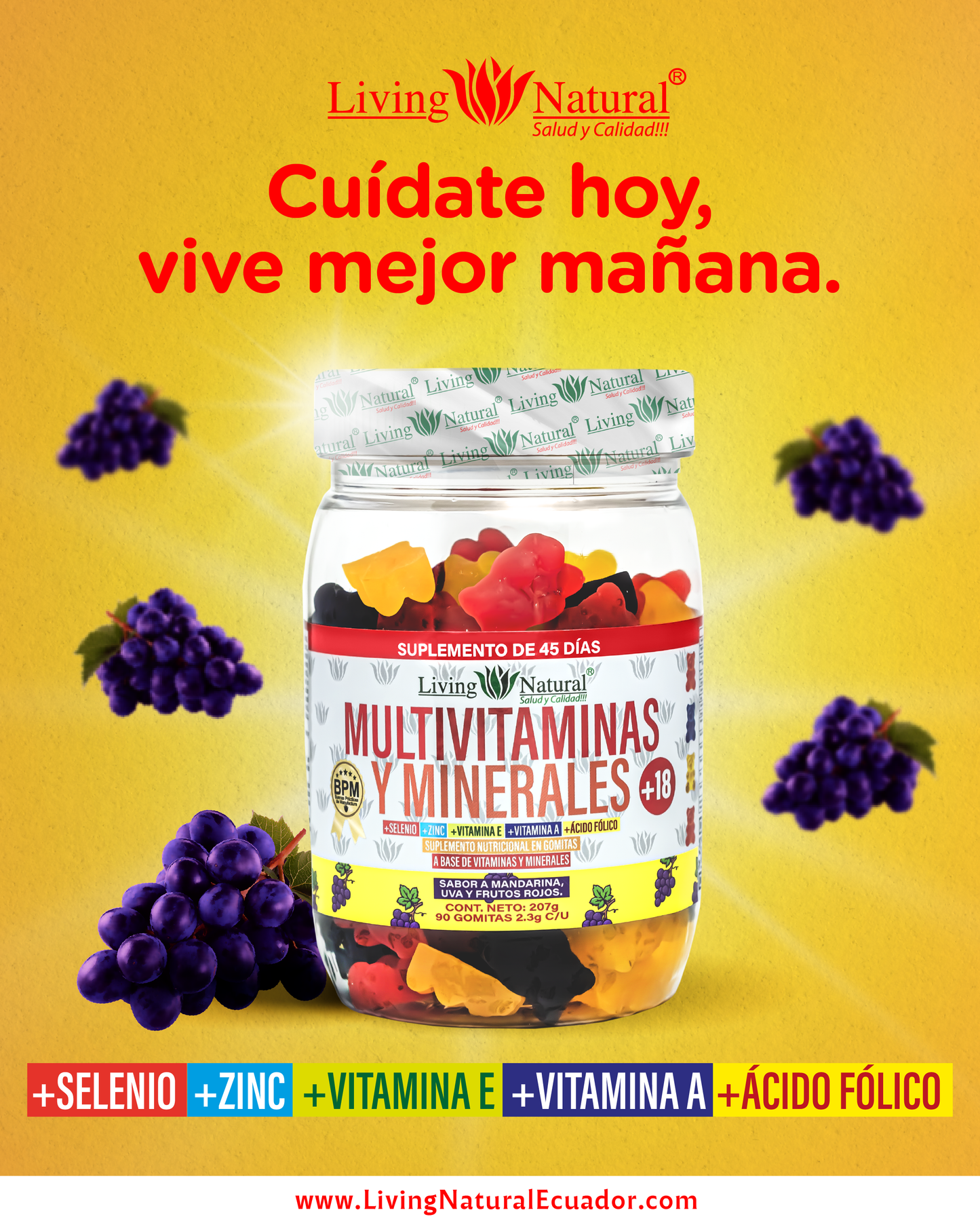 GOMITAS MULTIVITAMINAS Y MINERALES X90