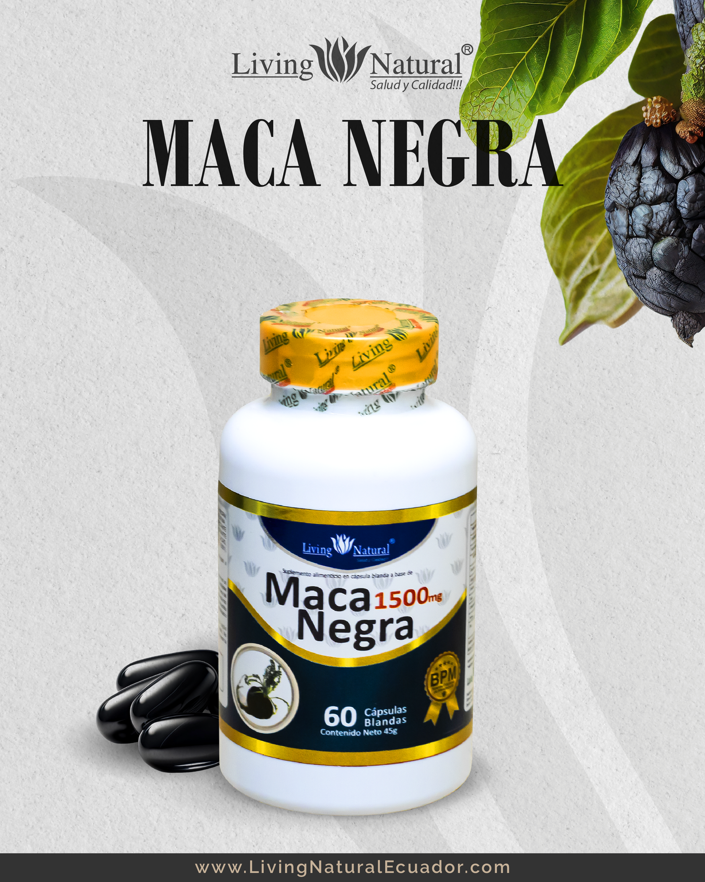MACA NEGRA - CÁP BLANDAS - FRASCO - X60, X100 - 1000mg