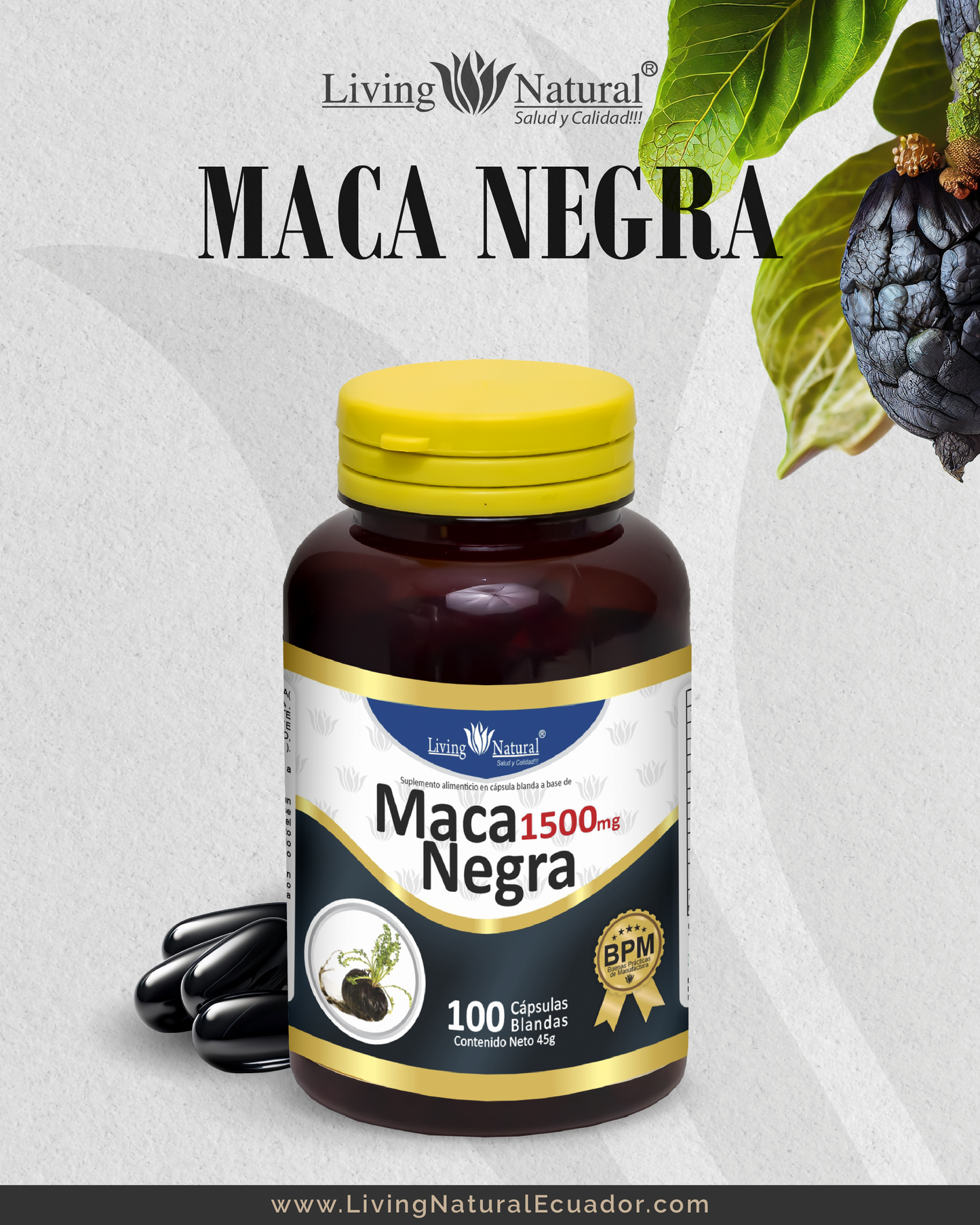 MACA NEGRA - CÁP BLANDAS - FRASCO - X60, X100 - 1000mg