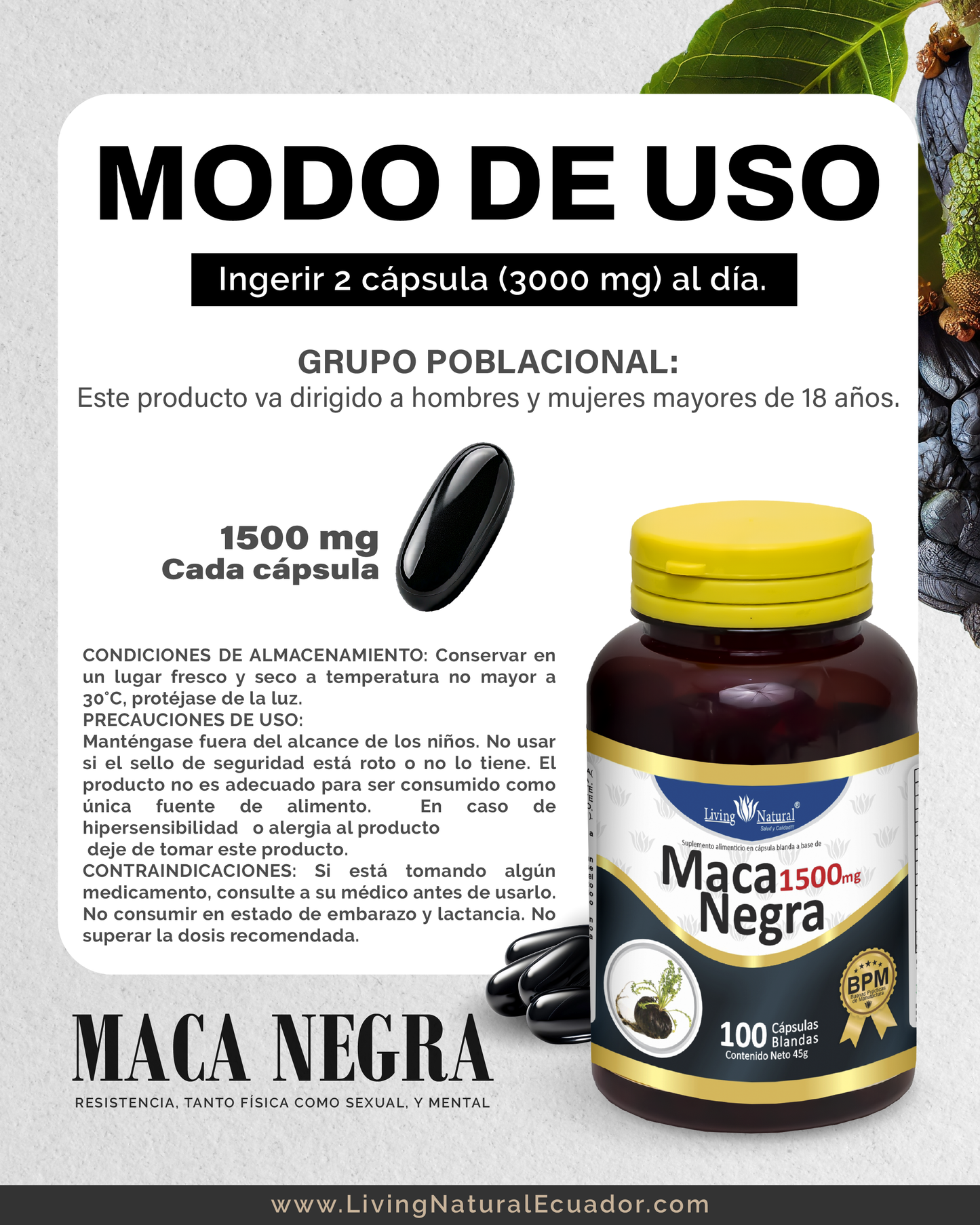 MACA NEGRA - CÁP BLANDAS - FRASCO - X60, X100 - 1000mg