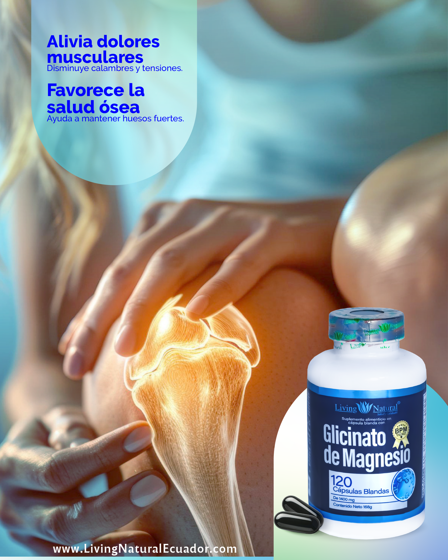 GLICINATO DE MAGNESIO | 1400 MG | X120 CÁPSULAS