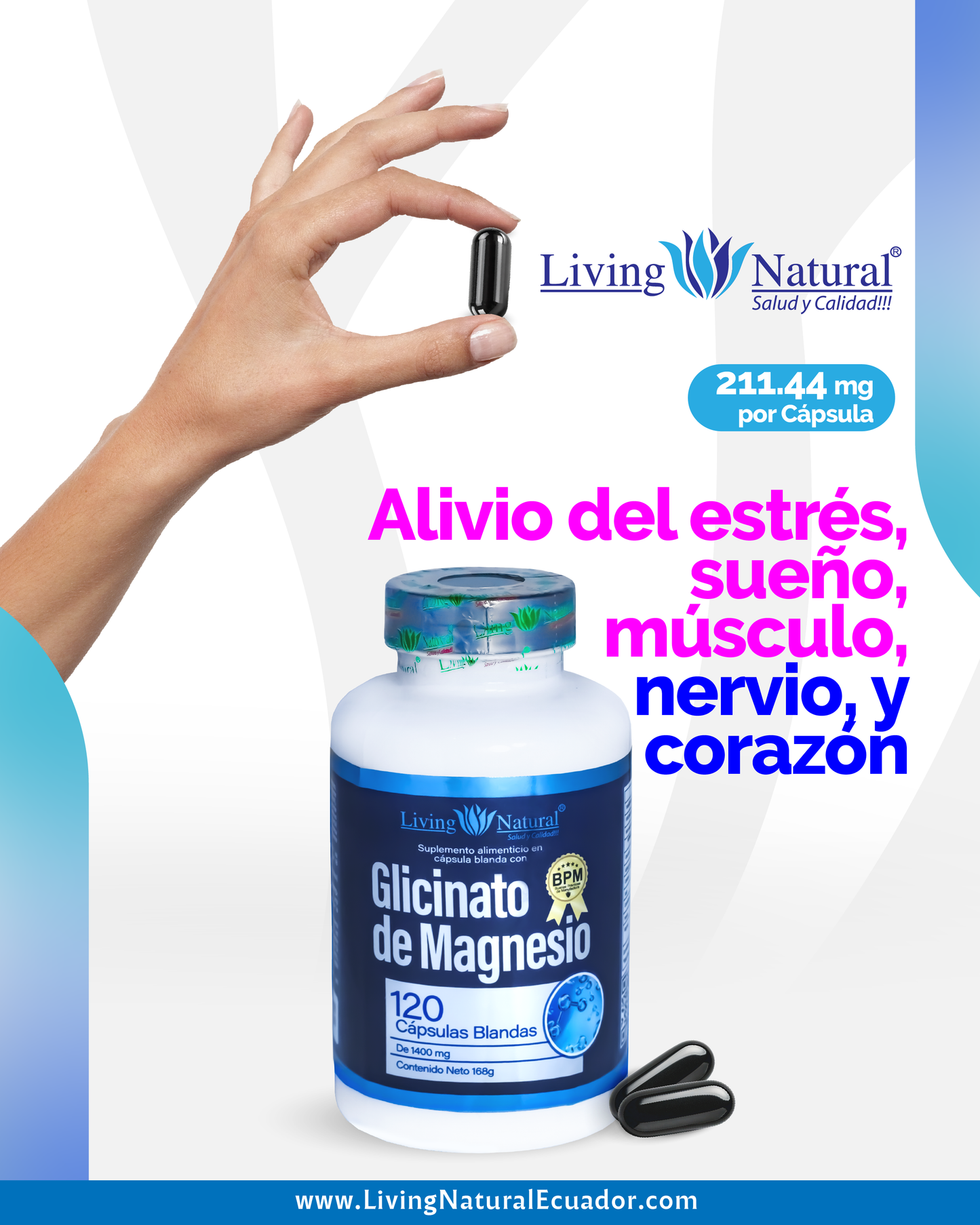 GLICINATO DE MAGNESIO | 1400 MG | X120 CÁPSULAS