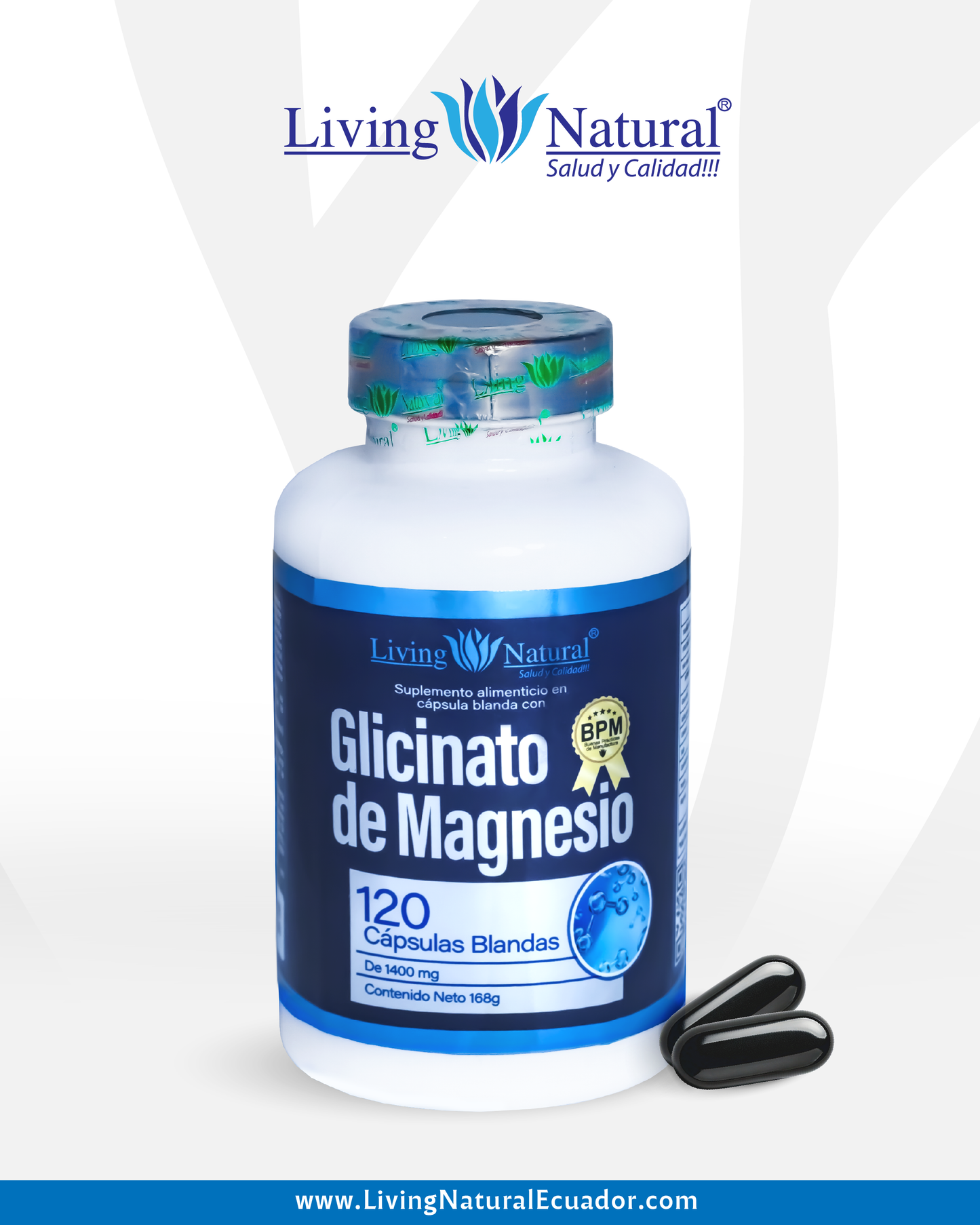 GLICINATO DE MAGNESIO | 1400 MG | X120 CÁPSULAS