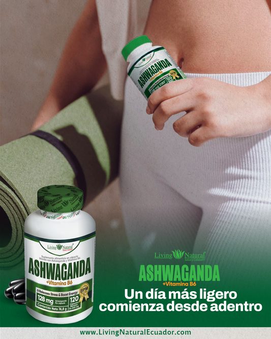 ASWAGANDA | CÁPSULA BLANDA FRASCO X100