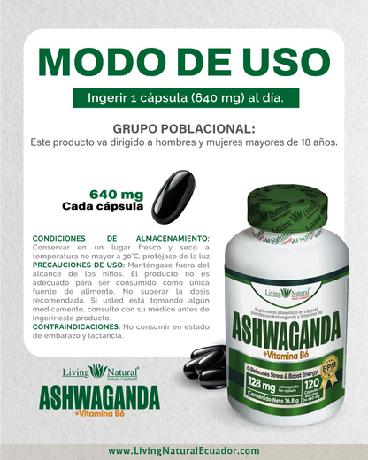 ASWAGANDA | CÁPSULA BLANDA FRASCO X100
