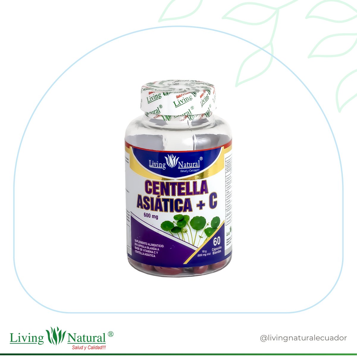 Azeatica CENTELLA ASIATICA | 600 mg | X30, X60, X100 – Living Natural Ecuador