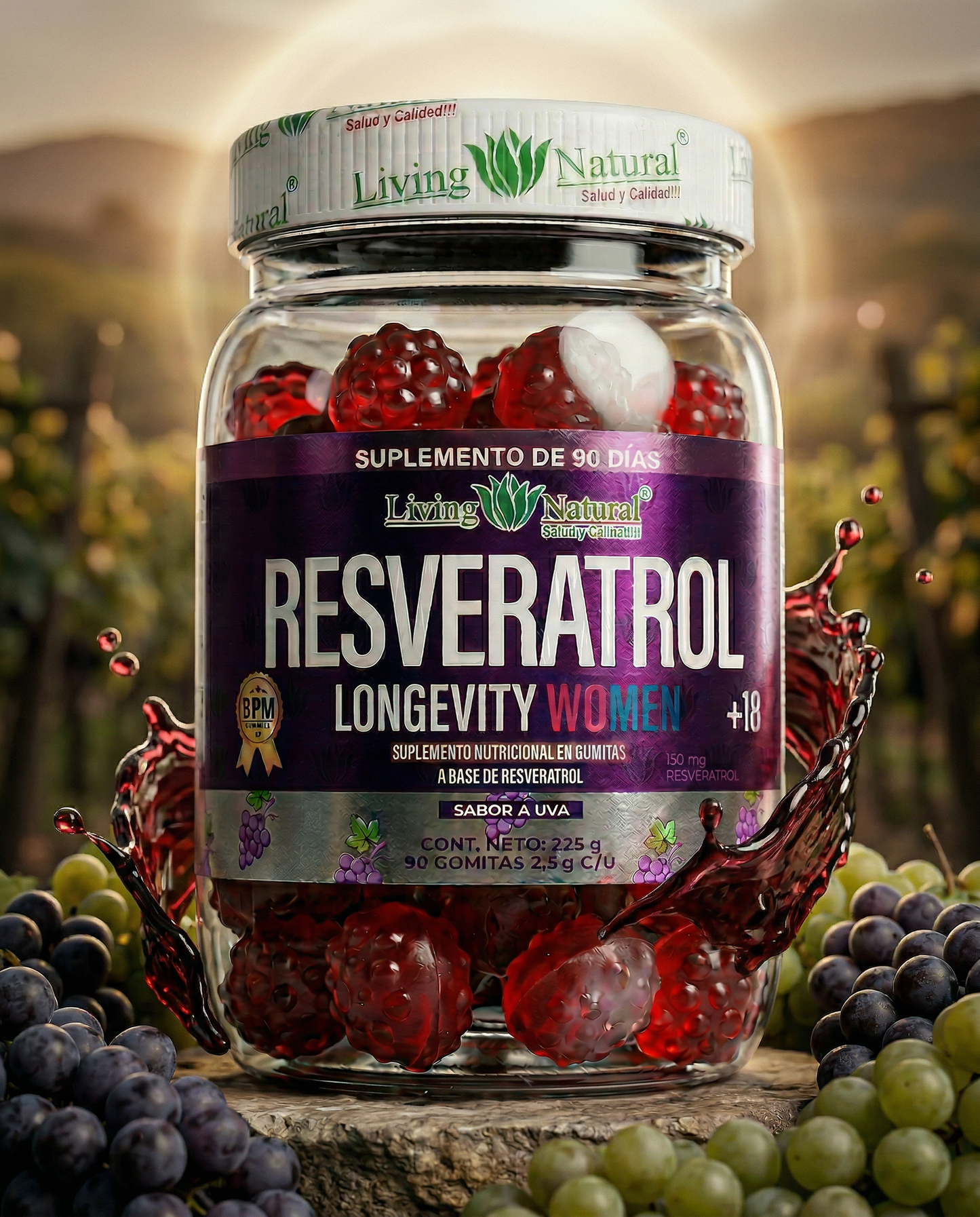 GOMITAS RESVERATROL X90