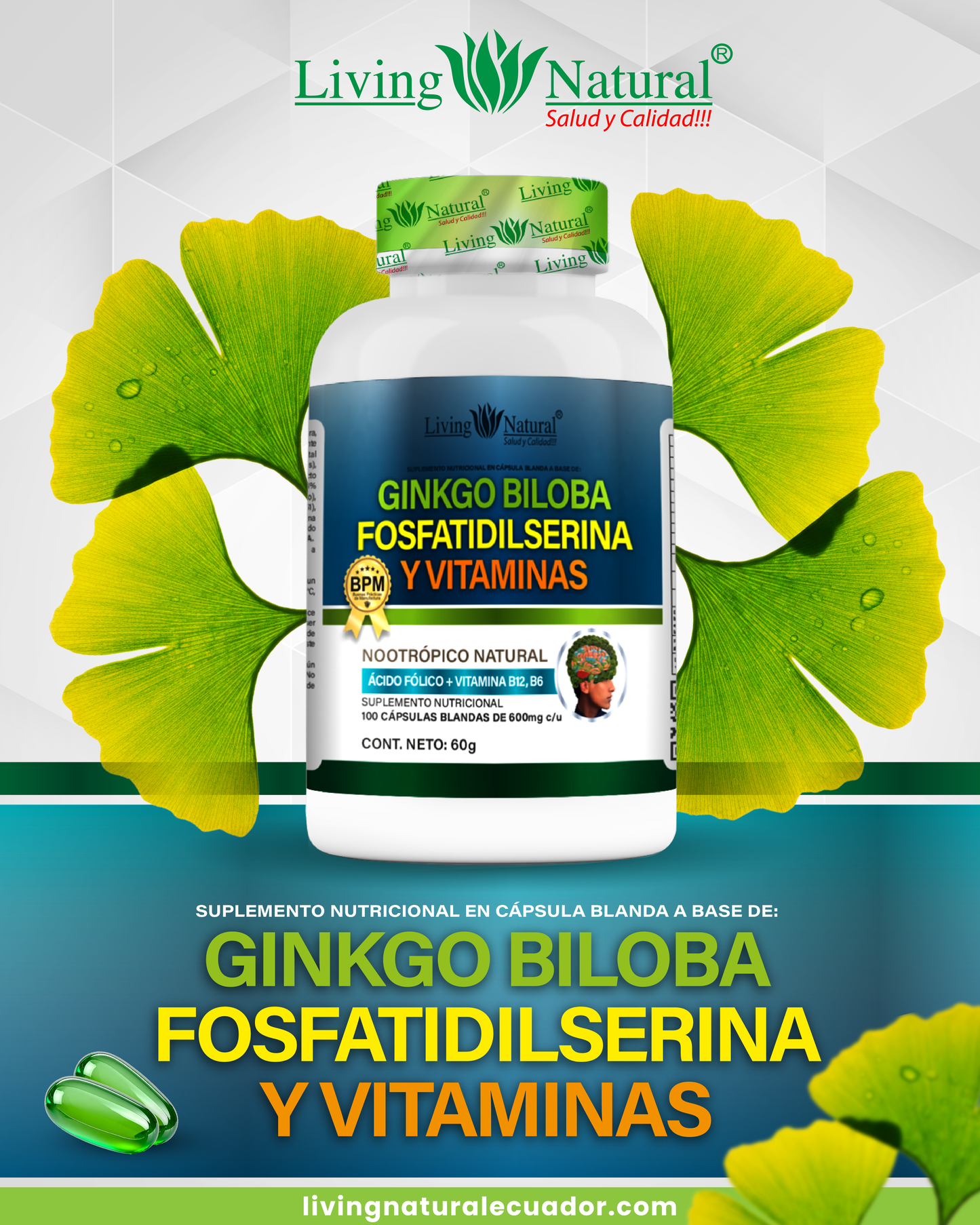 GINKGO BILOBA, FOSFATIDILSERINA Y VITAMINAS X 100