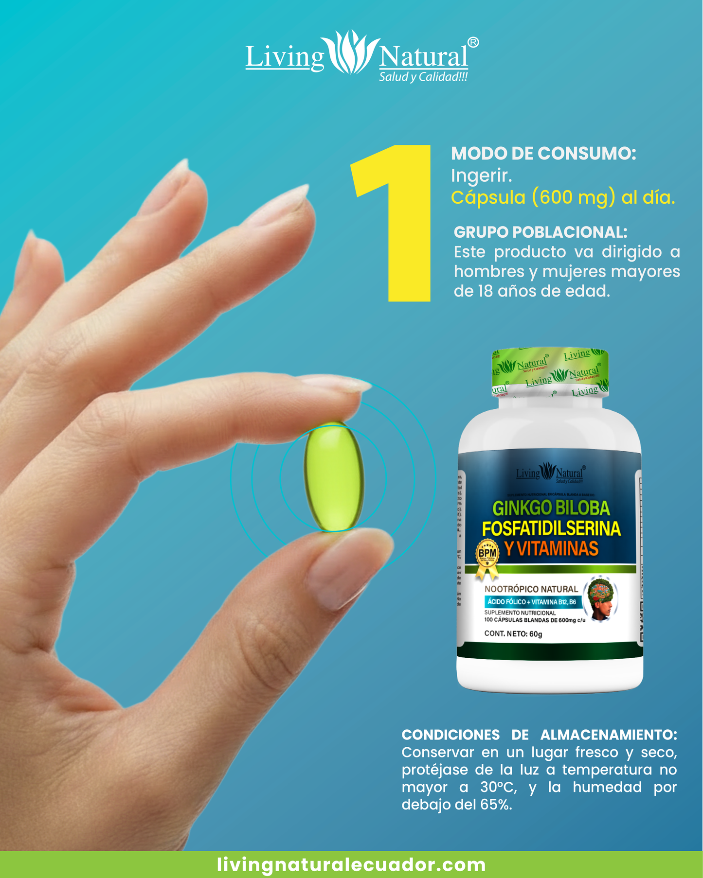 GINKGO BILOBA, FOSFATIDILSERINA Y VITAMINAS X 100