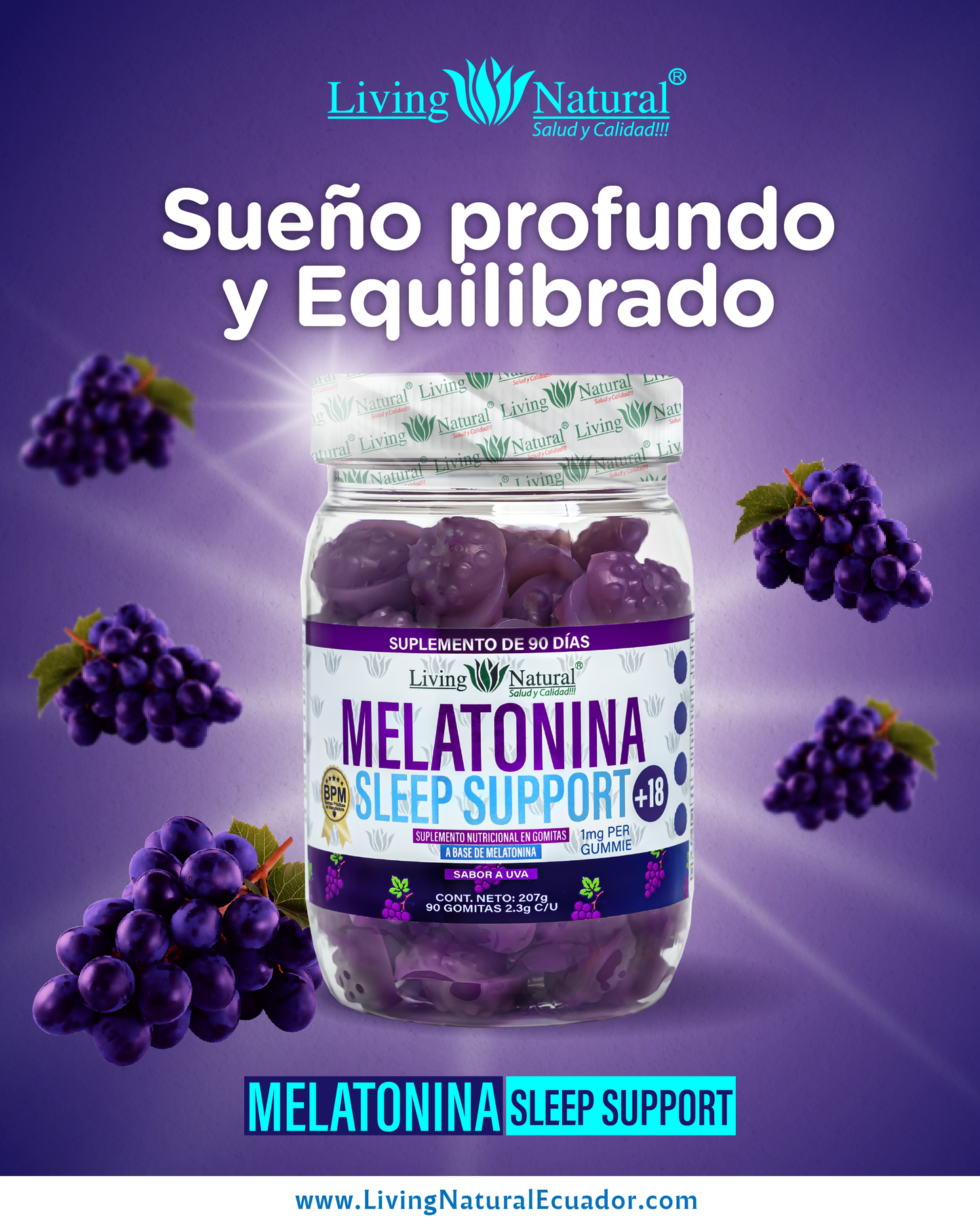 GOMITAS MELATONINA X90