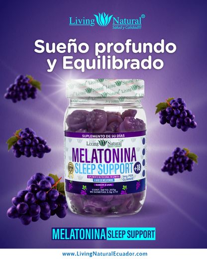 GOMITAS MELATONINA X90