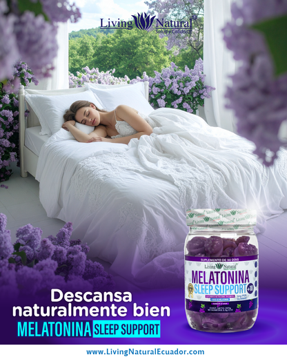 GOMITAS MELATONINA X90