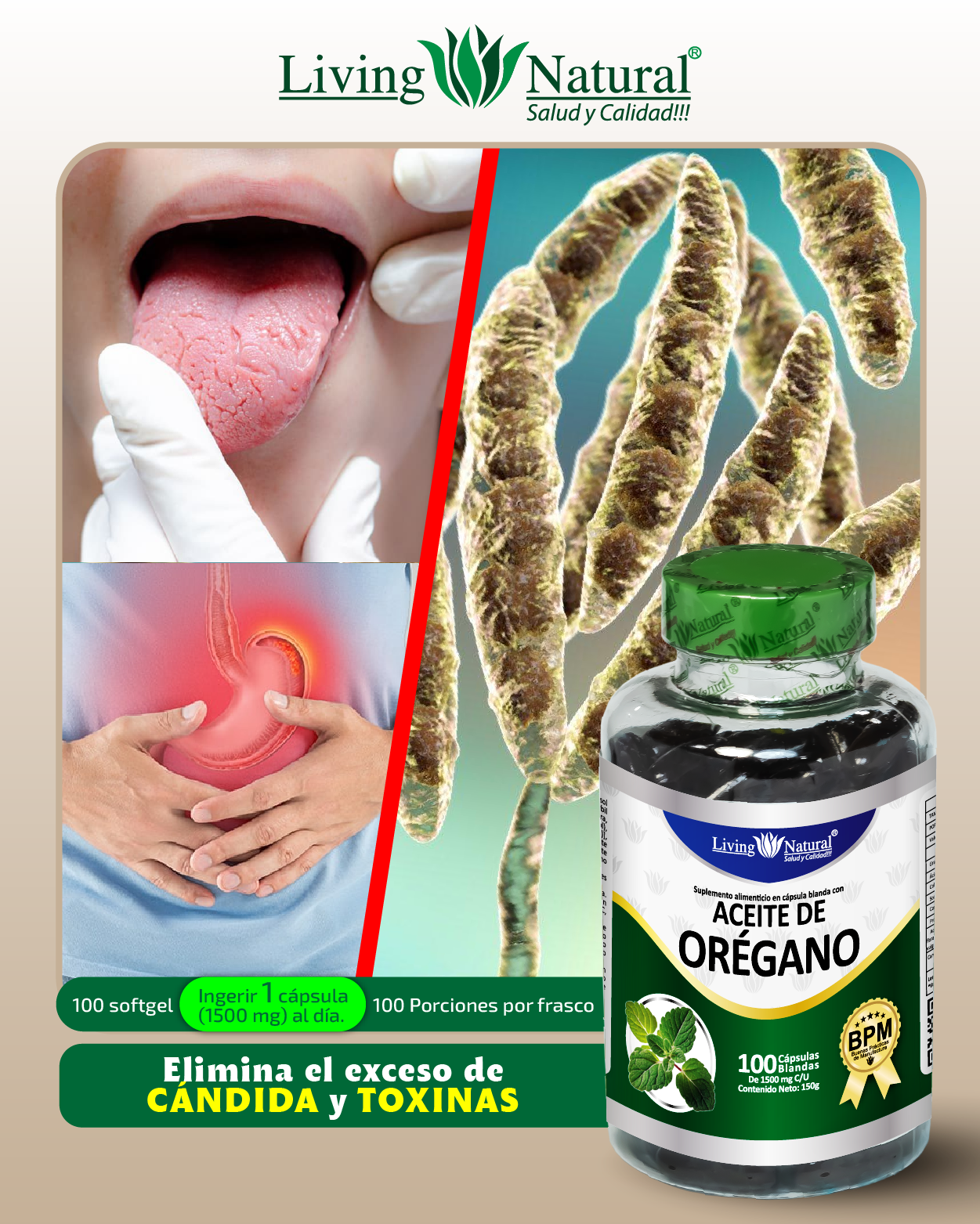 ACEITE DE ORÉGANO X100 | 1000 MG