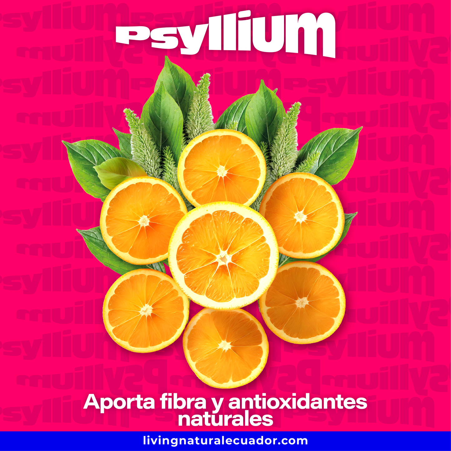 PSYLLIUM | FIBRA | 250 GR